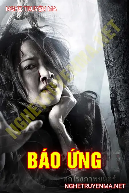 Báo Ứng <