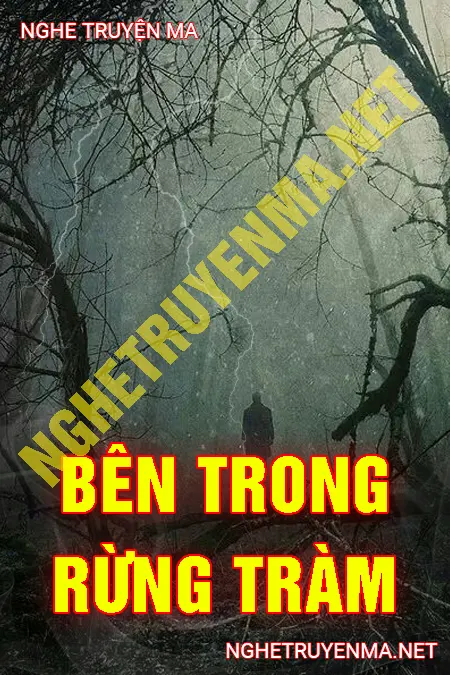 Bên Trong Rừng Tràm