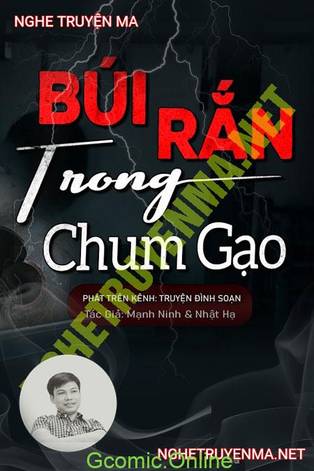 Búi Rắn Trong Chum Gạo <