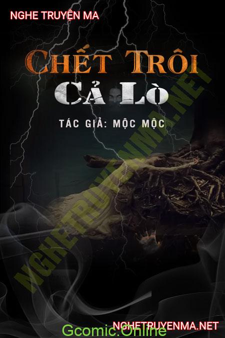 C.hết Trôi Cả Lò <