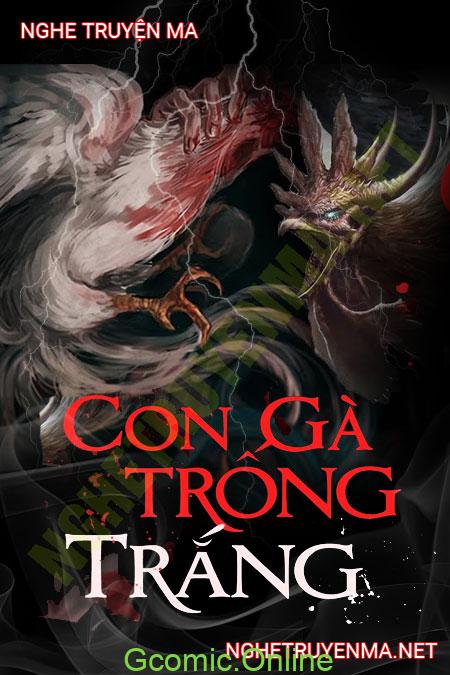 Con Gà Trống Trắng