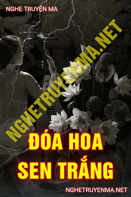 Đóa Hoa Sen Trắng <