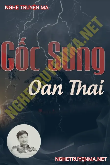 Gốc Sung Oan Thai