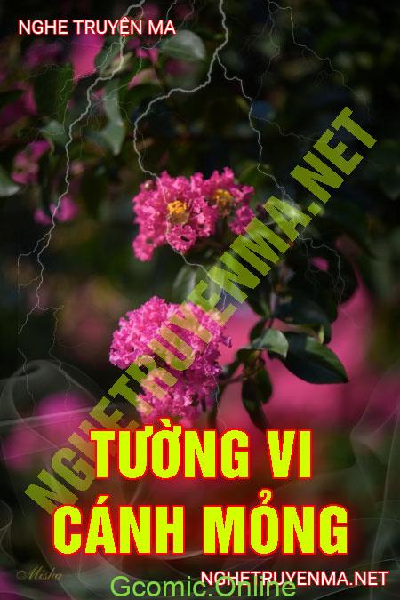 Tường Vi Cánh Mỏng <